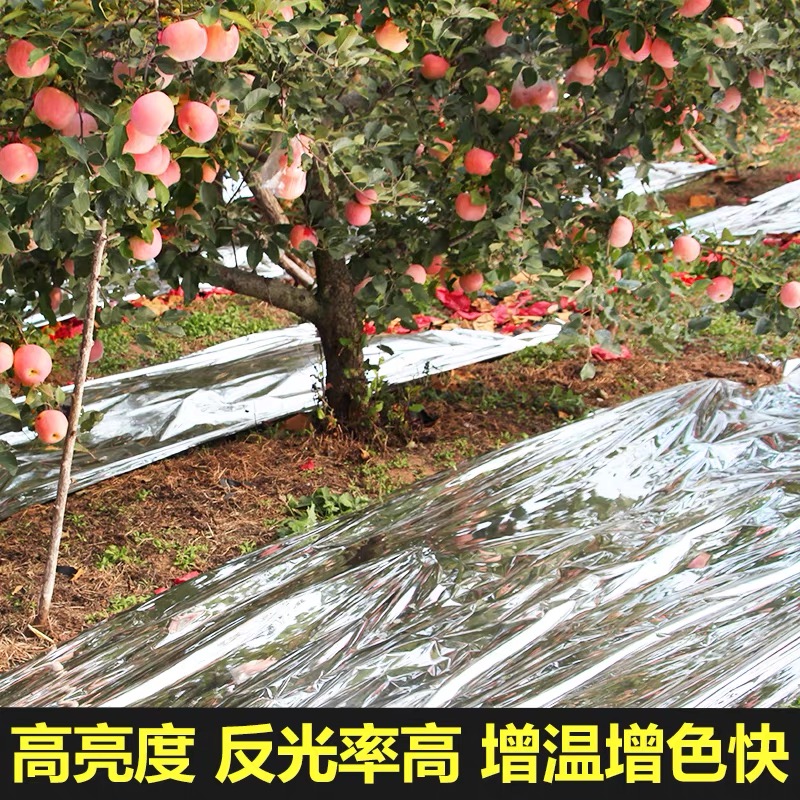 张家界市po膜果树反光膜 - 一站式服务